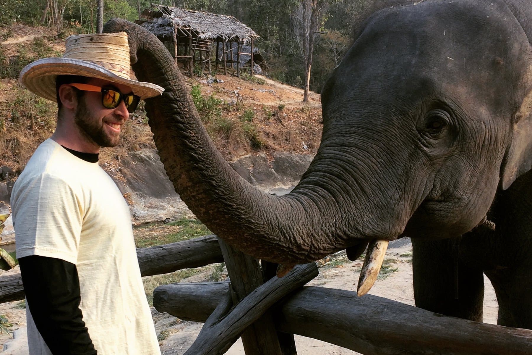An elephant resting its trunk on Daniel's straw hat